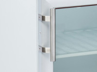 451_RCG_200_GL_Detail-Tuergriff_web